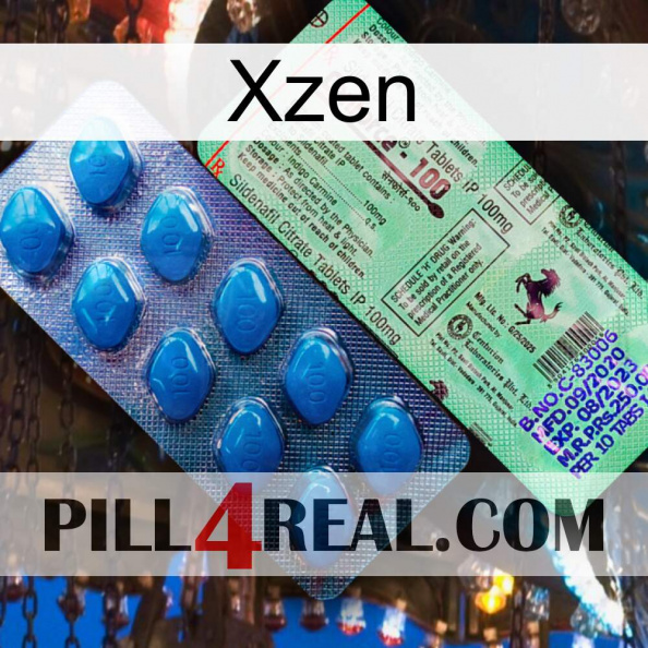 Xzen new02.jpg